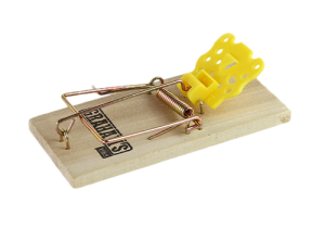 Mouse trap PNG-28445